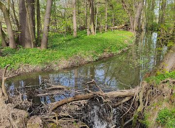 czechia/ostrava/attraction/bobri-hraz