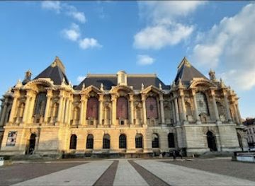 france/lille/wazemmes/attraction/palais-des-beaux-arts