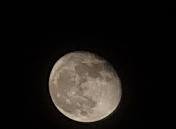 united-arab-emirates/ajman/attraction/hadeel-s-palace