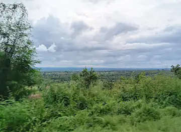 Awura Forest Reserve