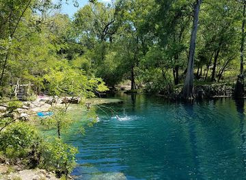 florida/suwannee-river/attraction/royal-springs-suwannee-river-wilderness-trail
