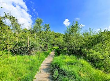 germany/upper-rhine/attraction/schaagbachtal