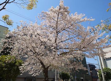 japan/kinki-kansai/attraction/tengachaya-park