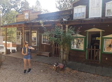 california/gold-country/attraction/gold-nugget-museum