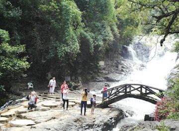 vietnam/da-lat/attraction/datanla-waterfall