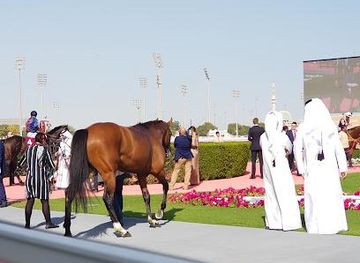 qatar/al-sheehaniya/attraction/racing-and-equestrian-club
