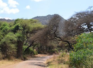 tanzania/singida/attraction/lake-manyara-treetop-walkway