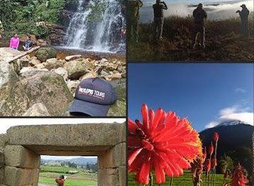 spain/cuenca/attraction/polylepis-tours-cuenca