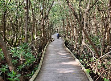 florida/southwest-florida/attraction/four-mile-cove-ecological-preserve