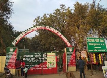 india/delhi/attraction/okhla-bird-sanctuary