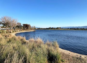 california/mountain-view/attraction/shoreline-at-mountain-view