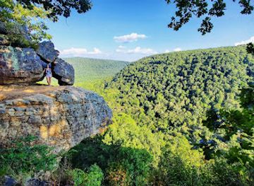 Ozark - St. Francis National Forest