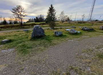germany/harz-mountains/attraction/harzer-gesteine