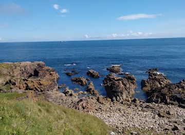 united-kingdom/aberdeen/attraction/walker-park