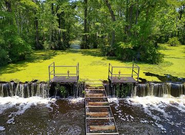 north-carolina/inner-banks/attraction/merchants-millpond-state-park