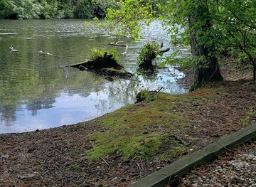 maryland/pocomoke-river-state-park/attraction/the-ward-museum-of-wildfowl-art
