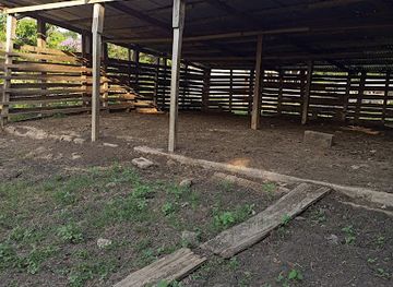 cameroon/ngog-lituba/attraction/ferme-agro-touristique-de-bilone