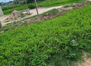 niger/w-national-park/attraction/cyqmmnen