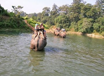 nepal/chitwan/attraction/chitwan-jungle-safari