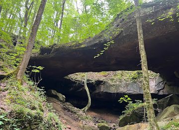 alabama/sipsey-wilderness/attraction/natural-bridge-hiking-trail