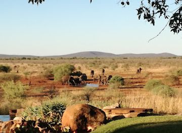 south-africa/kalahari/attraction/madikwe-game-reserve