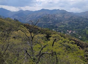ecuador/loja/attraction/rumi-wilco-nature-reserve
