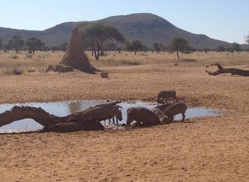 namibia/namib-desert/attraction/okonjima-nature-reserve