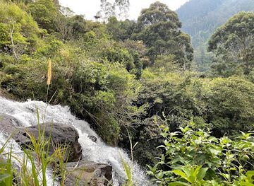 ecuador/morona-santiago-region/attraction/el-silencio-waterfall