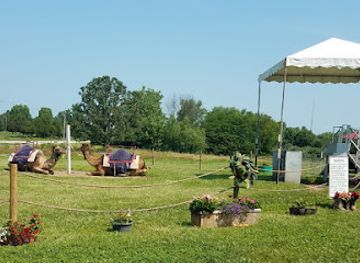 missouri/pomme-de-terre-lake/attraction/r-p-camel-ride