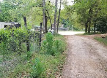 alabama/prattville/attraction/the-mooseum