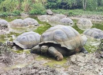 ecuador/puerto-ayora/attraction/galapagos-frontier