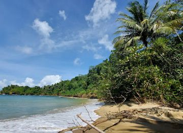 L' Anse Fourmi
