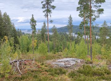 finland/kuopio/attraction/von-wright-culture-and-nature-trail