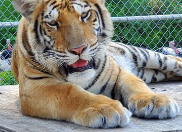 florida/first-coast/attraction/st-augustine-wild-reserve