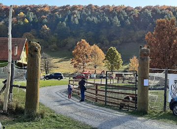 romania/harghita/attraction/babusgato-allatsimogato-es-allatpark