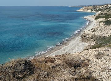 cyprus/paphos-district/attraction/ranti-forest-beach