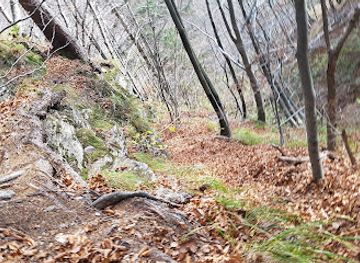 slovenia/upper-carniola/attraction/slap-sprucar