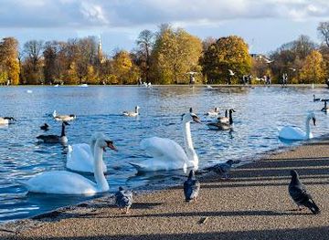 united-kingdom/london/landmark/round-pond