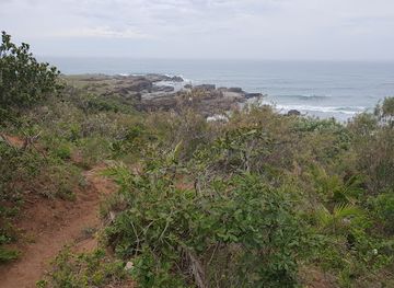 south-africa/eastern-cape/attraction/jacaranda-ship-wreck