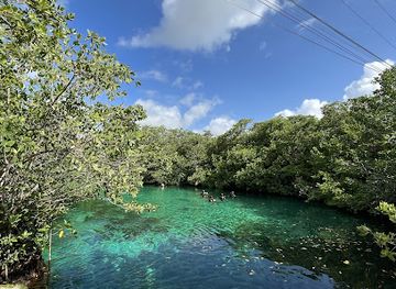mexico/southeastern-mexico/attraction/underwater-mexico