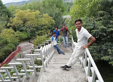 india/meghalaya/attraction/ever-living-museum