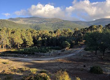 spain/castile-and-leon/attraction/cueva-del-monje