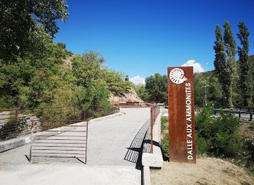 france/provence/attraction/la-dalle-aux-ammonites