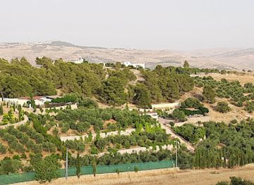 jordan/jerash/attraction/jerash-hills-farm-and-chalets