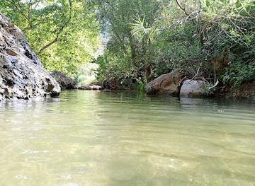lebanon/horsh-ehden/attraction/river