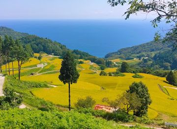 japan/sado/attraction/iwakubi-shoryu-rice-terrace