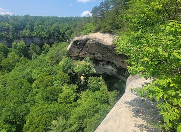 kentucky/red-river-gorge-geological-area/attraction/indian-staircase-trailhead