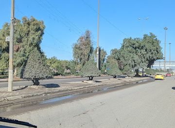 iraq/qadisiyyah/attraction/saidiya-park