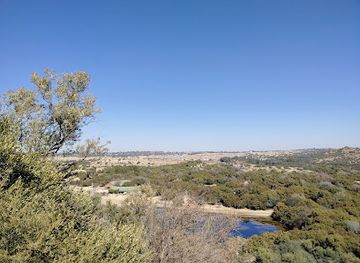 south-africa/bloemfontein/attraction/botaniese-tuine