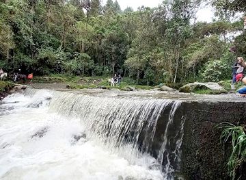 colombia/cocora-valley/attraction/rio-quindio